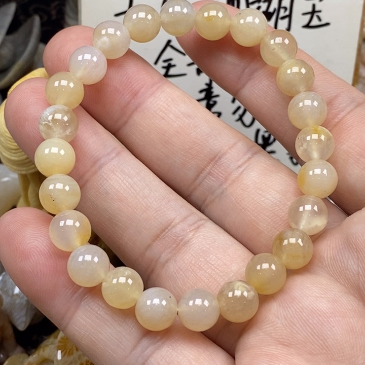 硅化珊瑚（珊瑚玉）未镶嵌颈饰