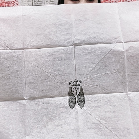 【闪购商品】拓片用纸其他拓片
