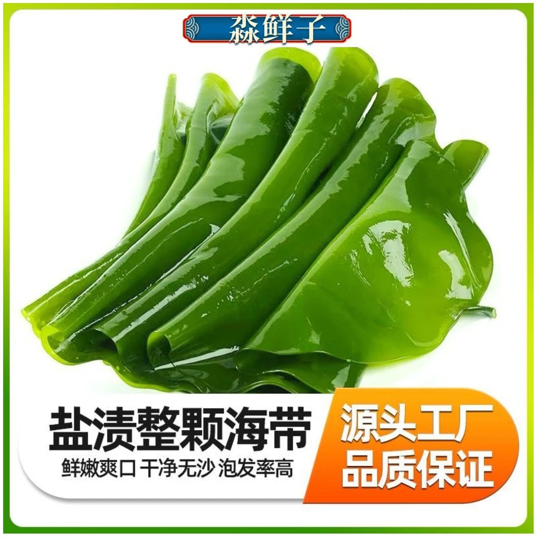 【东北小华】2025头茬新鲜海带整颗菜 海带饭包菜 含箱5斤