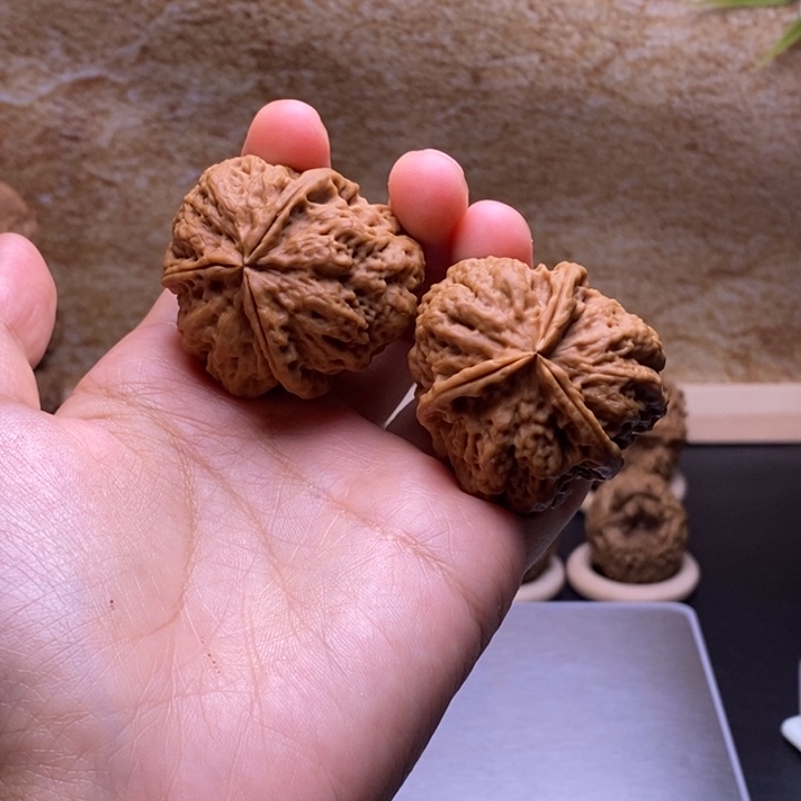 桃核把件22。            