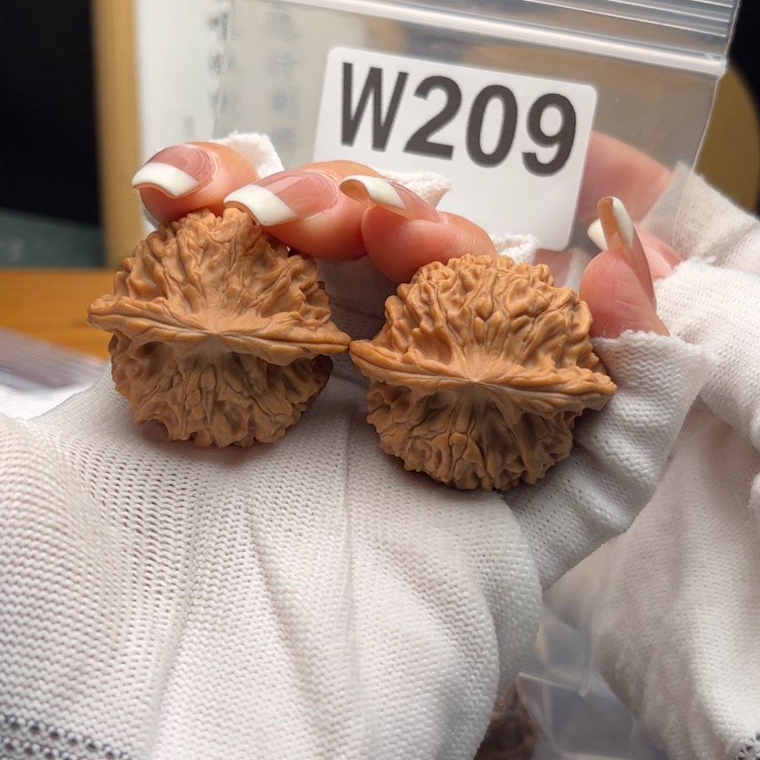 文玩核桃把件39天地w 209