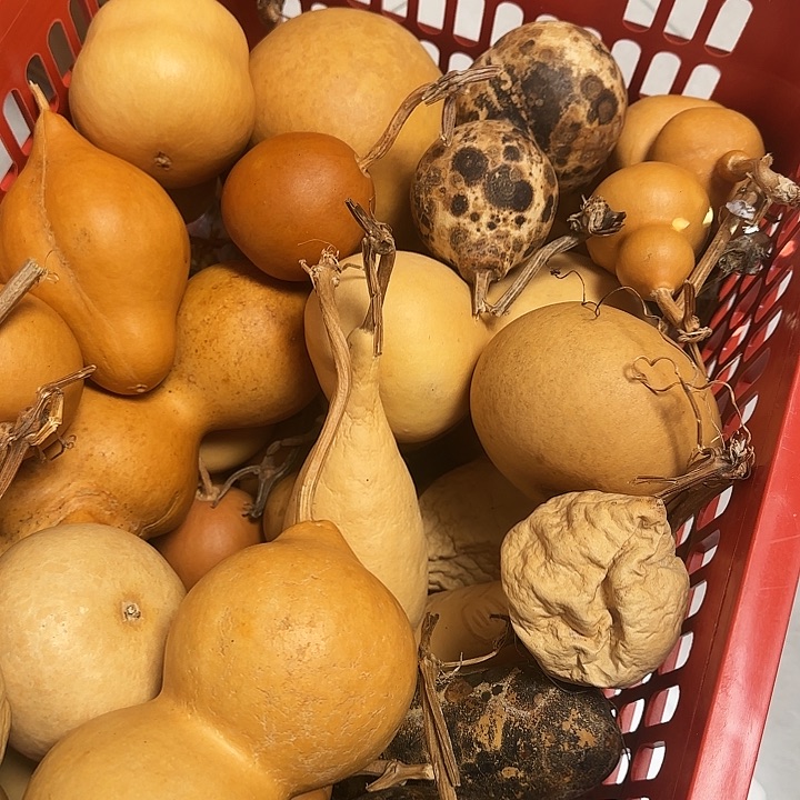 卫***刘葫芦摆件手把文玩