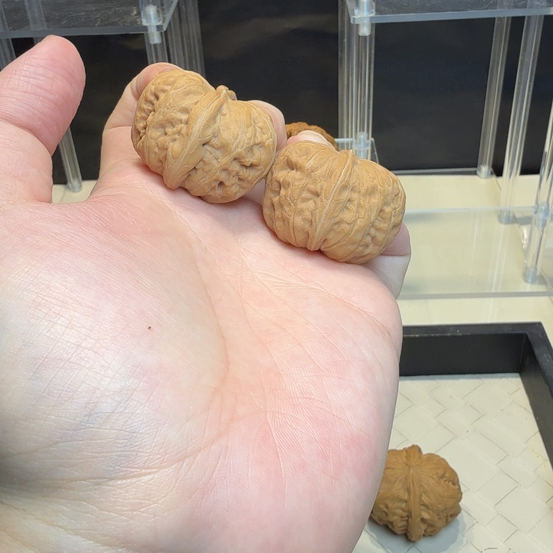 把件文玩核桃39全品平谷元宝