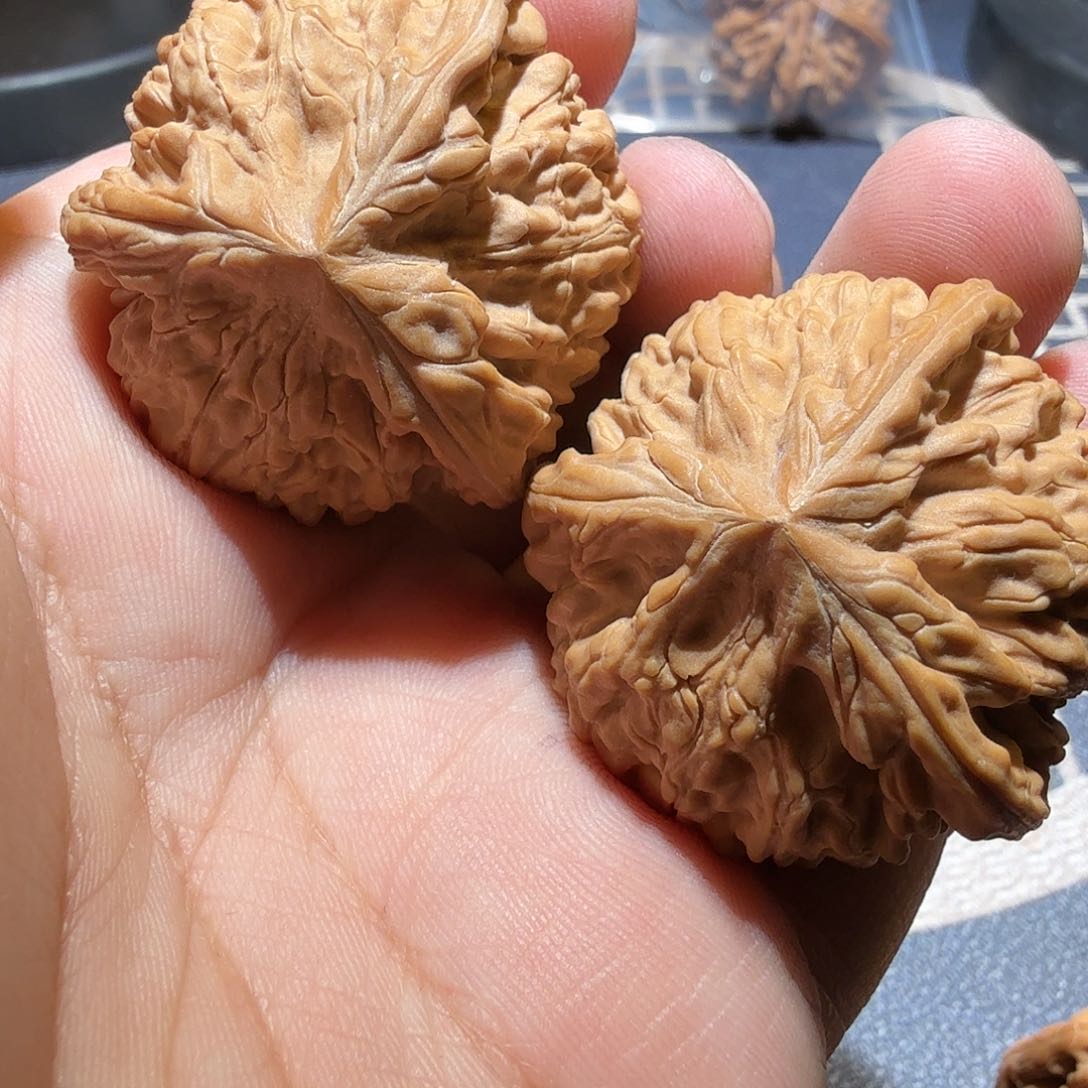 文玩核桃把件御龙