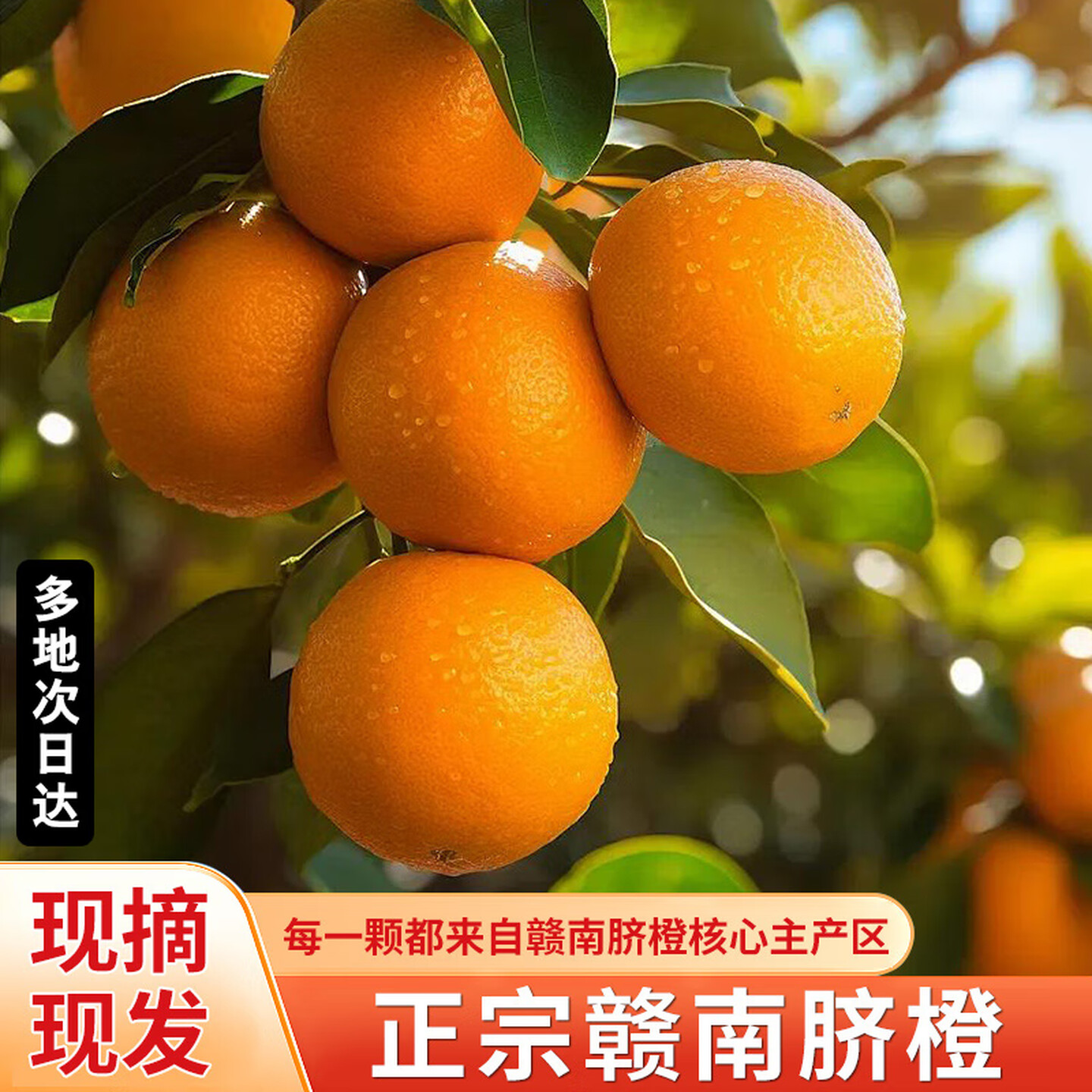 【幸福姐专属】正宗赣南脐橙新鲜现摘香甜橙子当季应季水果手剥脐橙