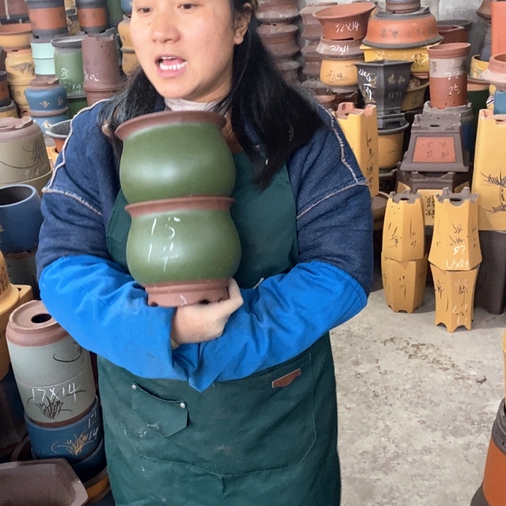 紫砂花盆盆栽花卉苗木种植