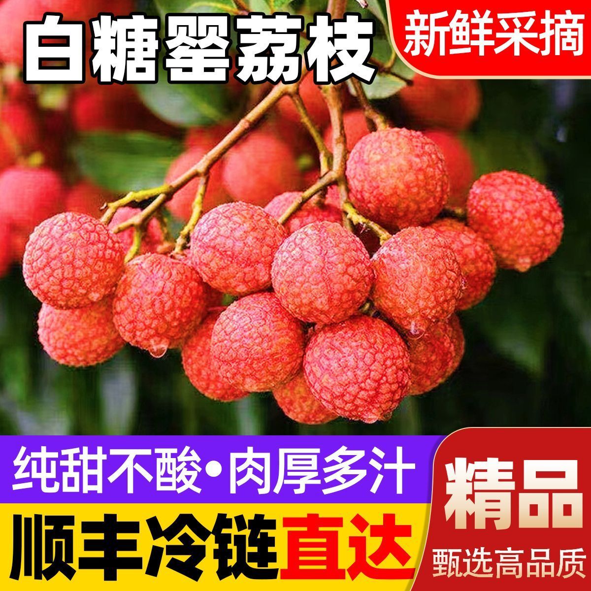 【顺丰冷链】J正宗白糖罂荔枝现摘现发坏果包赔当季新鲜水果荔枝