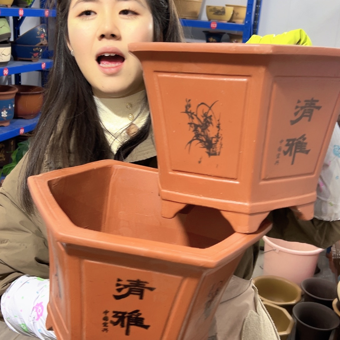 32+32红清雅六方花盆