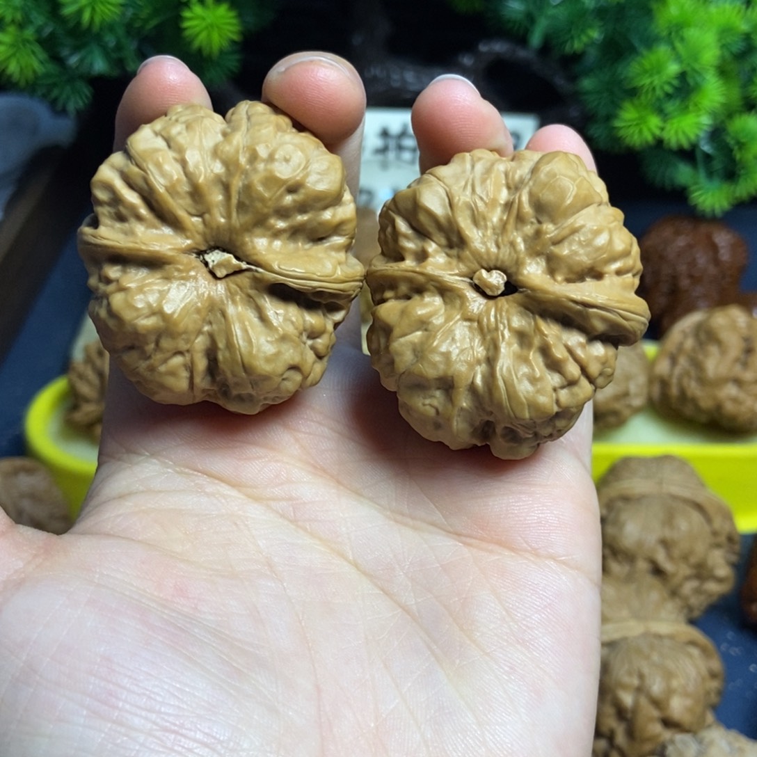 核桃核桃文玩把件蛤蟆头28尺42肚2