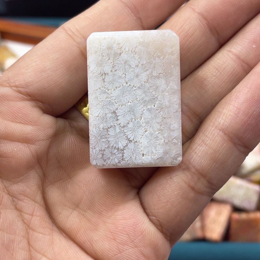 未镶嵌手镯硅化玉
