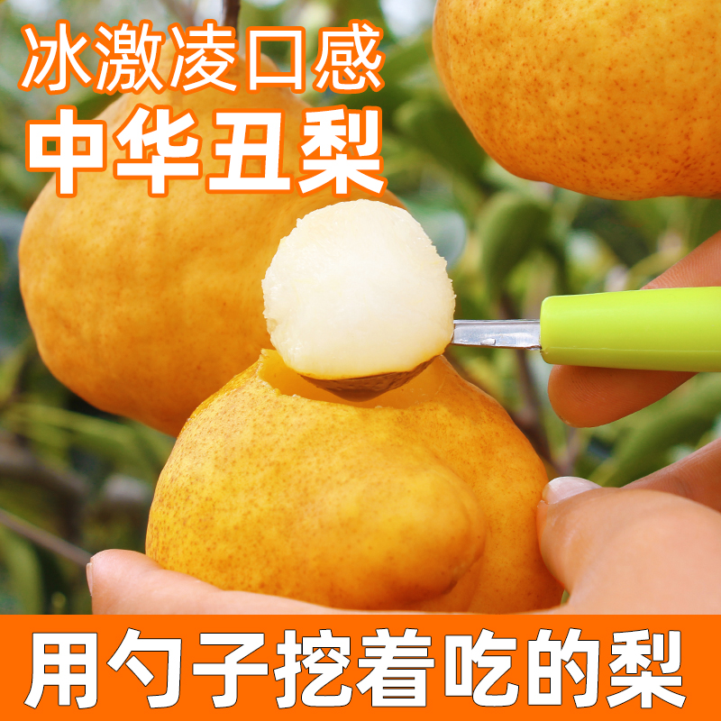 中华丑梨软糯香甜爆汁冰激凌口感水果新鲜啤梨子烟台高质量水果
