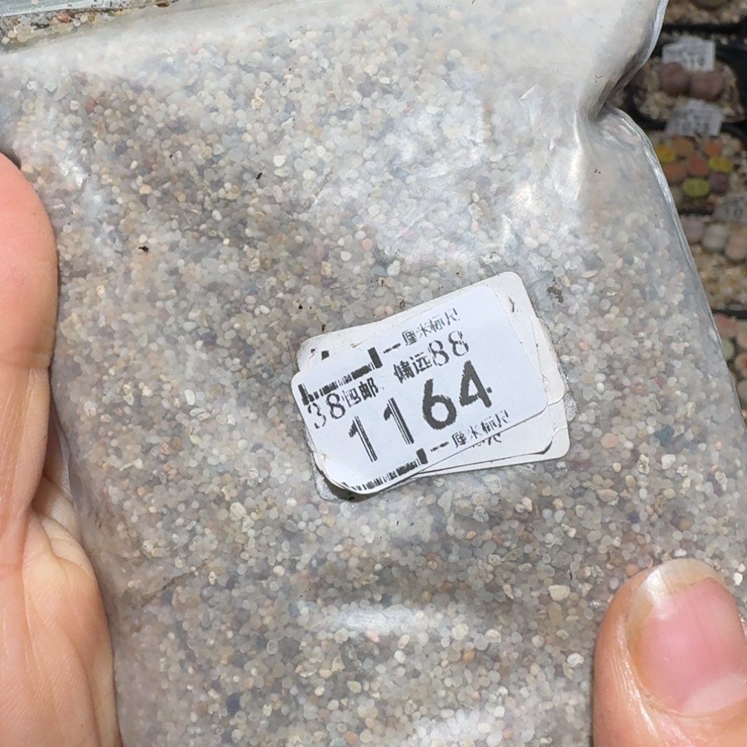 z好看的便宜卖啦1164