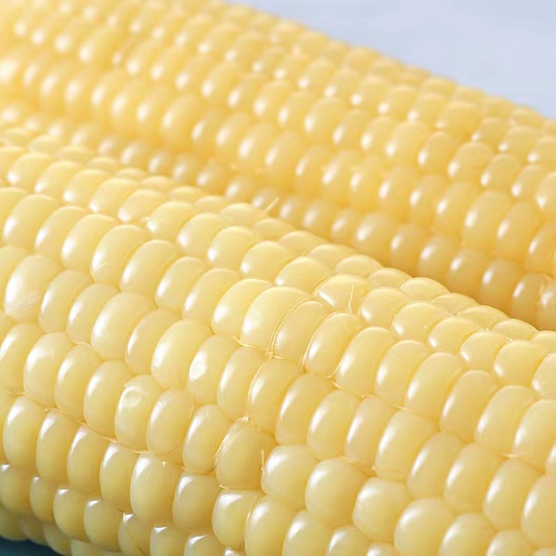 【整箱7-7.5斤】东北白糯玉米真空锁鲜软糯香甜11根一整箱300-380g