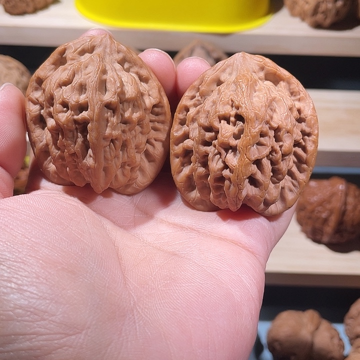 文玩核桃金公子有修