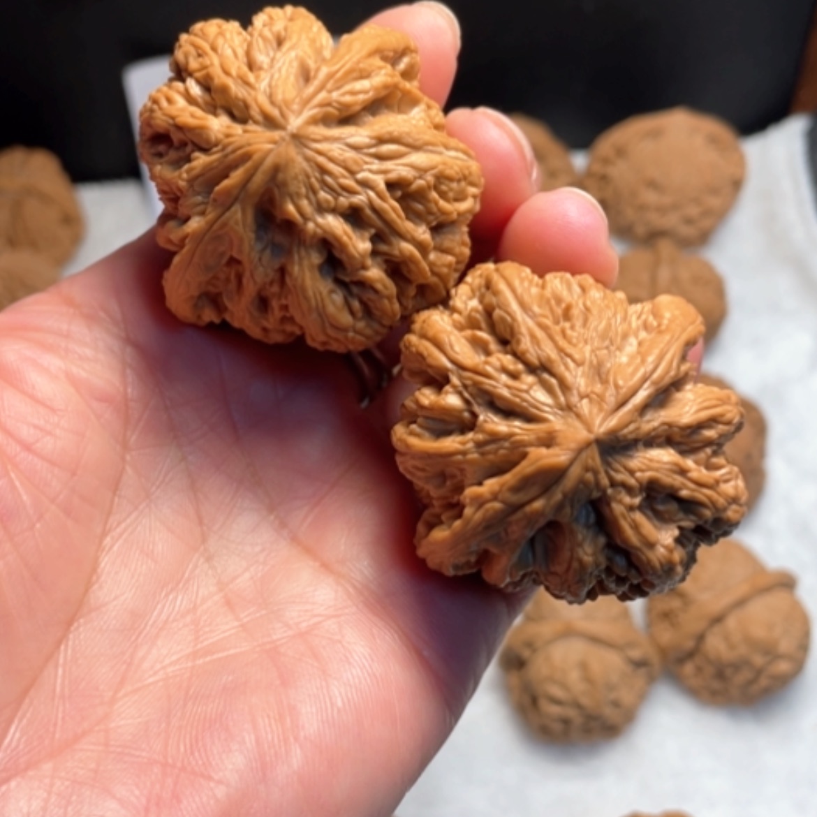 【闪购商品】核桃手串/手链粗筋45