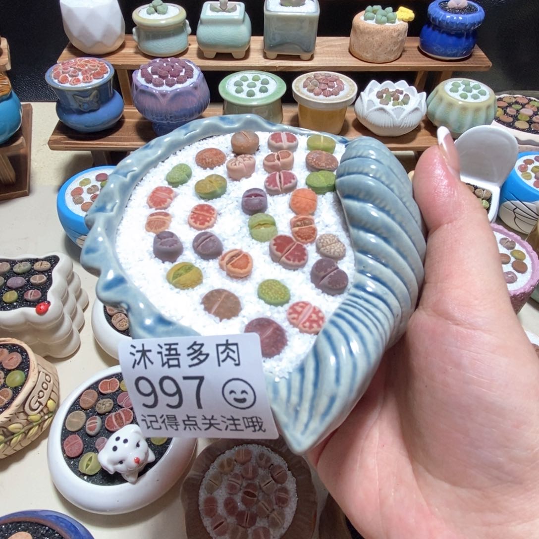 所见即所得 一物一拍 997