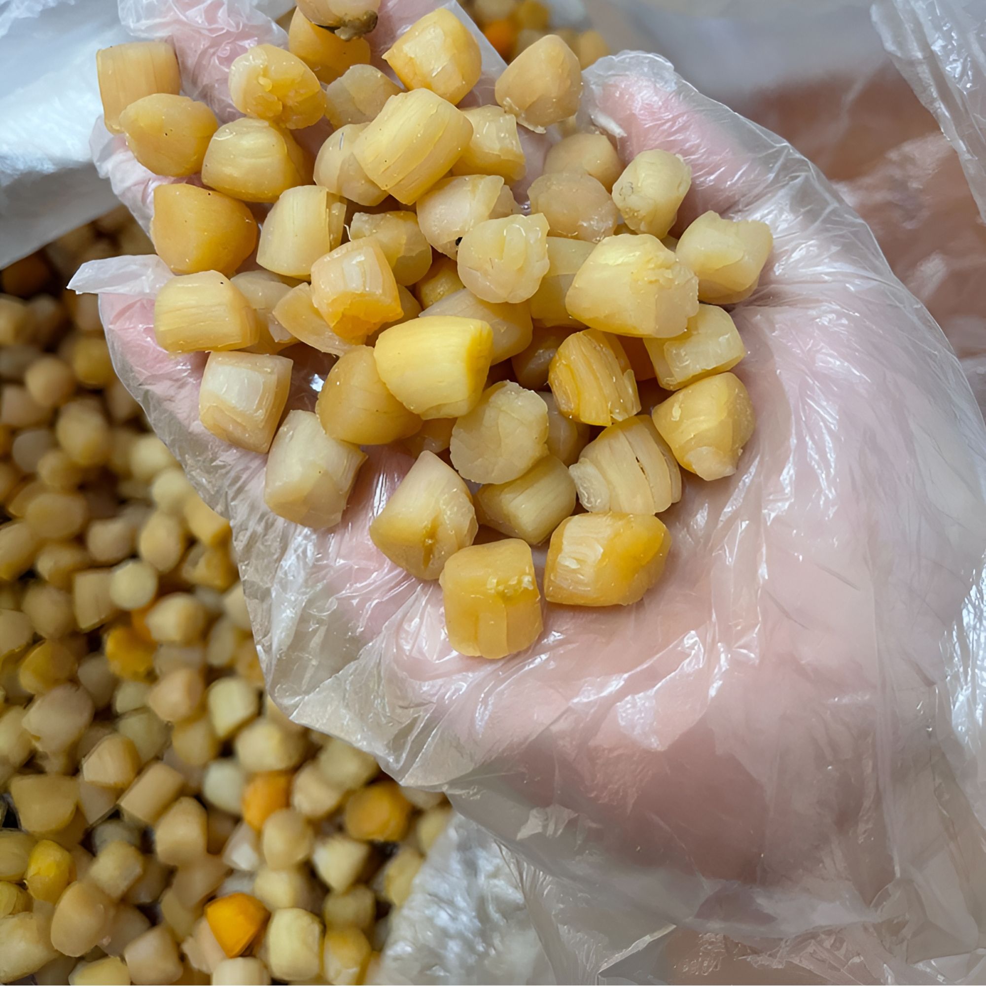 【三亚二娘】干贝瑶柱肉质饱满新鲜晾晒个头大煲汤蒸蛋味鲜好吃