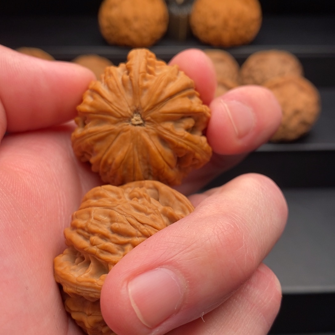 文玩核桃把件程御龙