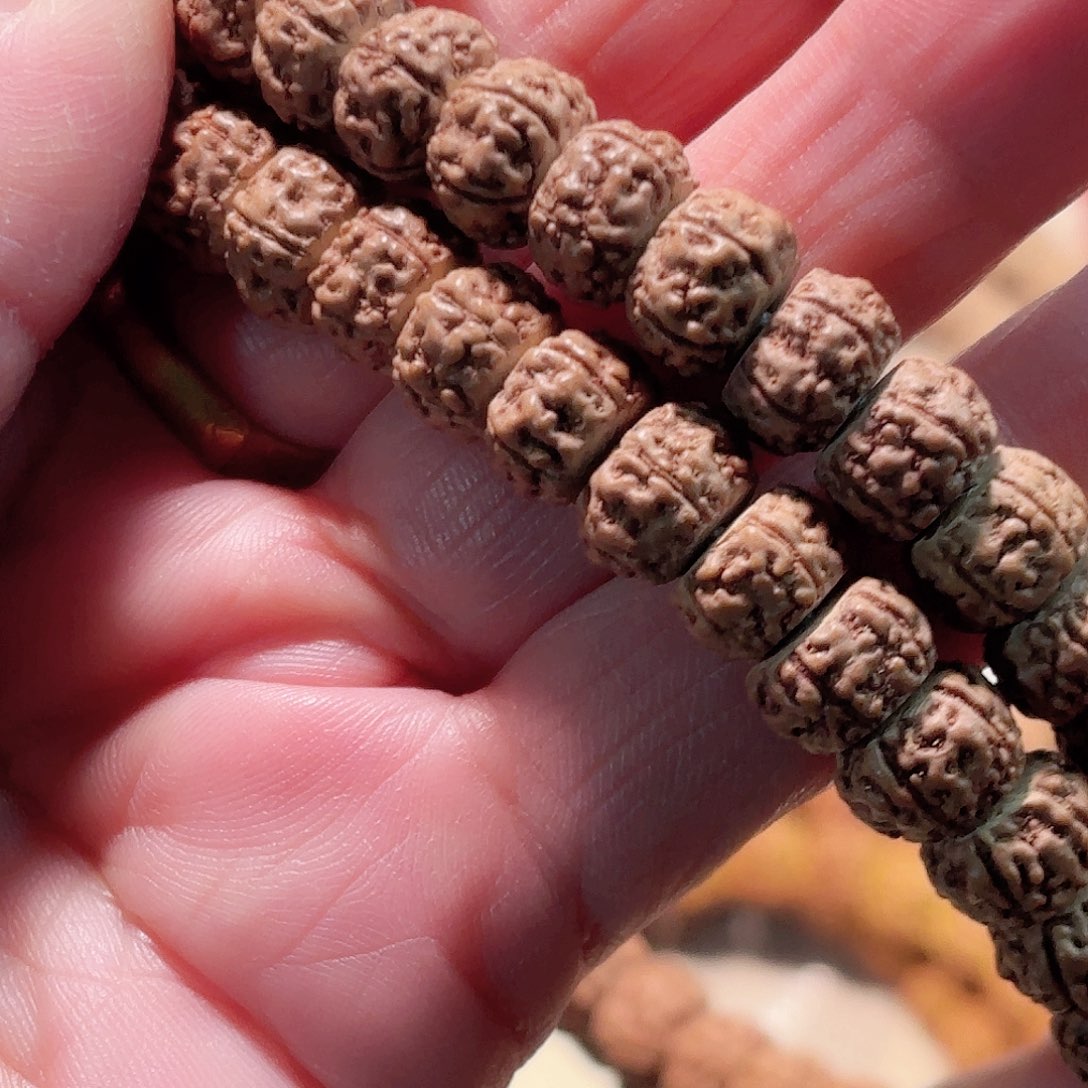 ****️印度尼西亚小金刚闷墩龙直切9大加