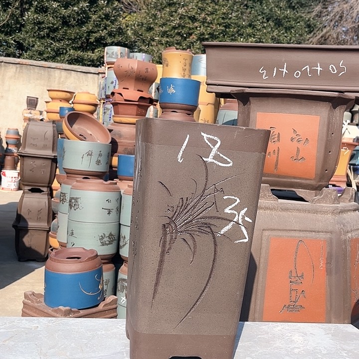 紫砂紫砂花盆盆栽