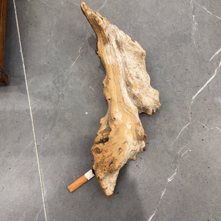 飞***风香榧木崖柏啊啊啊啊啊