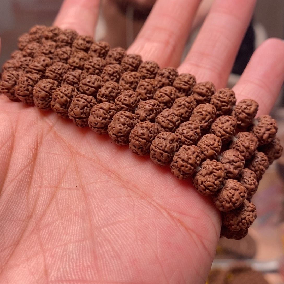 এ***⁵菩提籽类平细长串