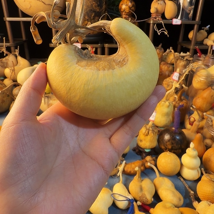 5***0大厚皮葫芦娃子豆粉