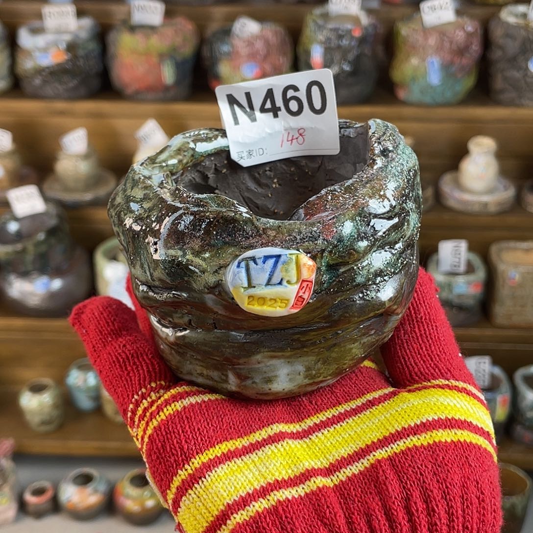 坛子姐花盆 小白孤品内口6.5百搭