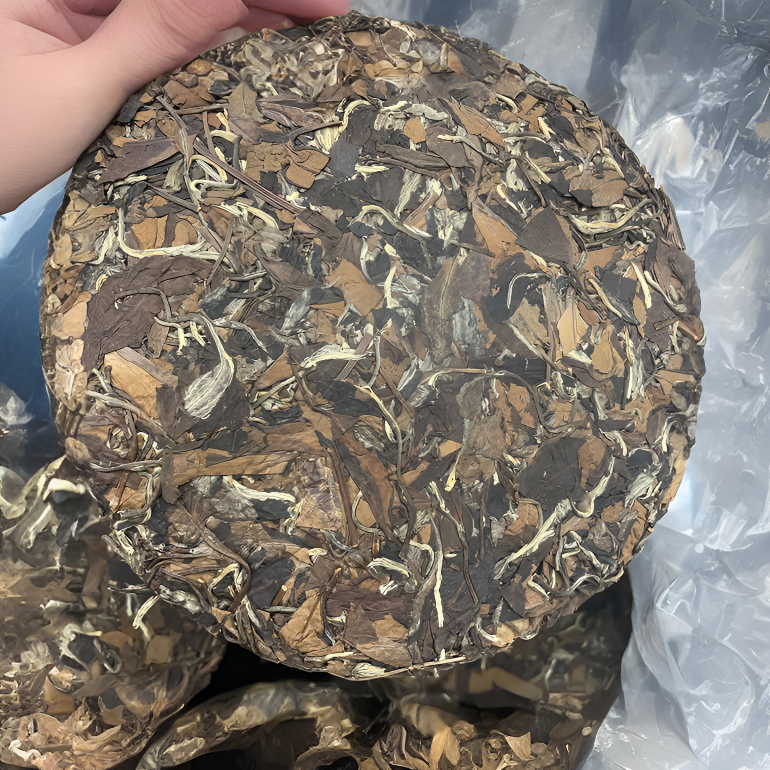 2015年老白茶寿眉饼福鼎白茶磻溪高山茶云雾茶枣香药香紧压饼茶