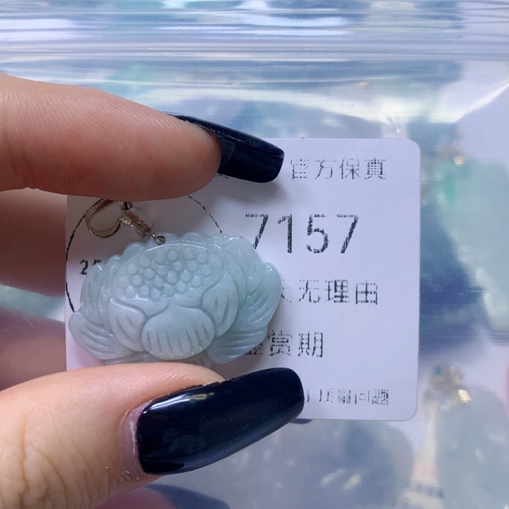 翡翠未镶嵌颈饰   