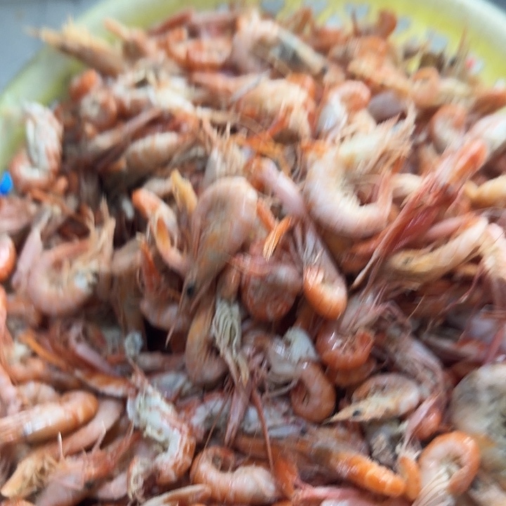 中国大陆小虾3斤半左右