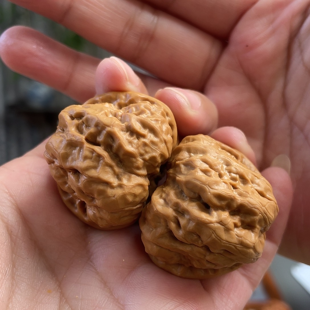 桃核把件38×39尺怀柔红皮蛤蟆头CN0975已打底