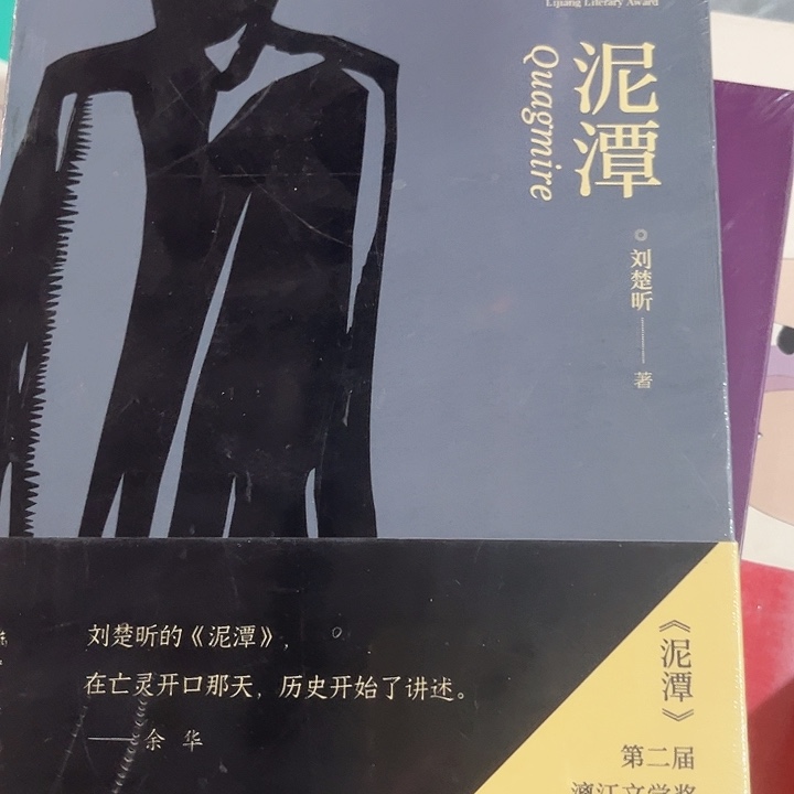 泥潭新书推荐全新