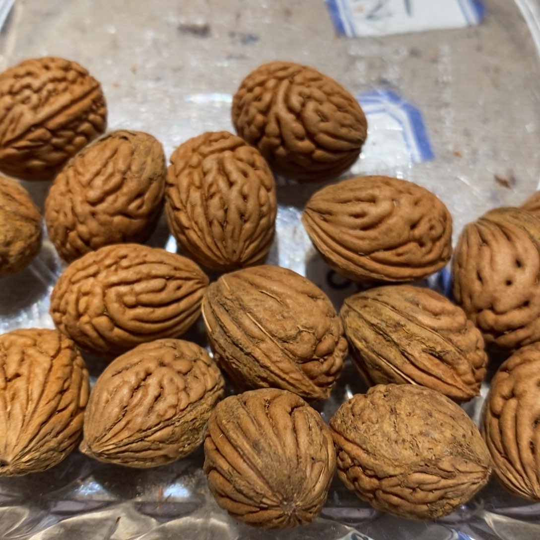 东***木桃核吊坠18颗龙纹椭圆珠