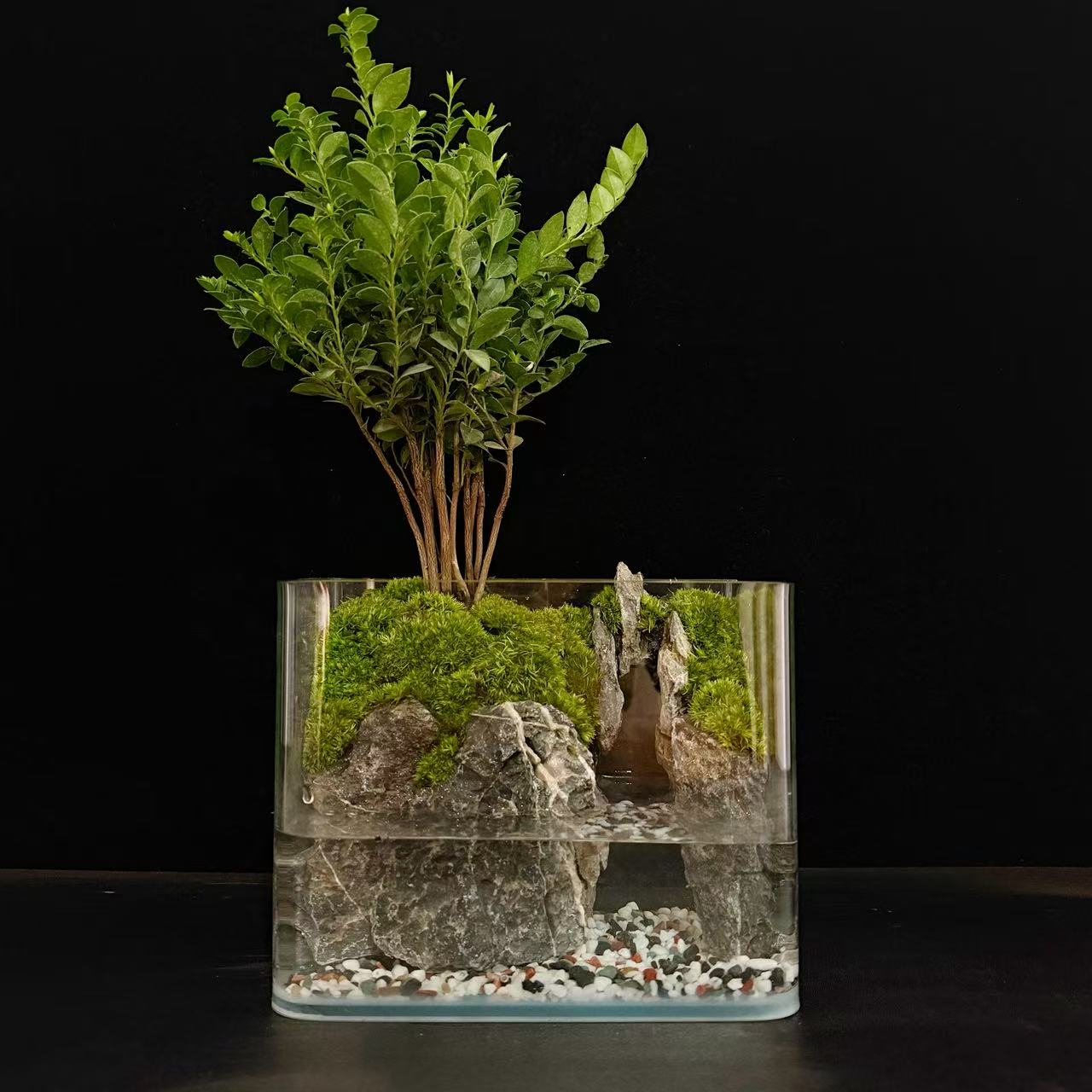 【洞天】新疆包邮-尺寸18cmx12cmx14cm方缸小叶紫檀青龙石中式造景