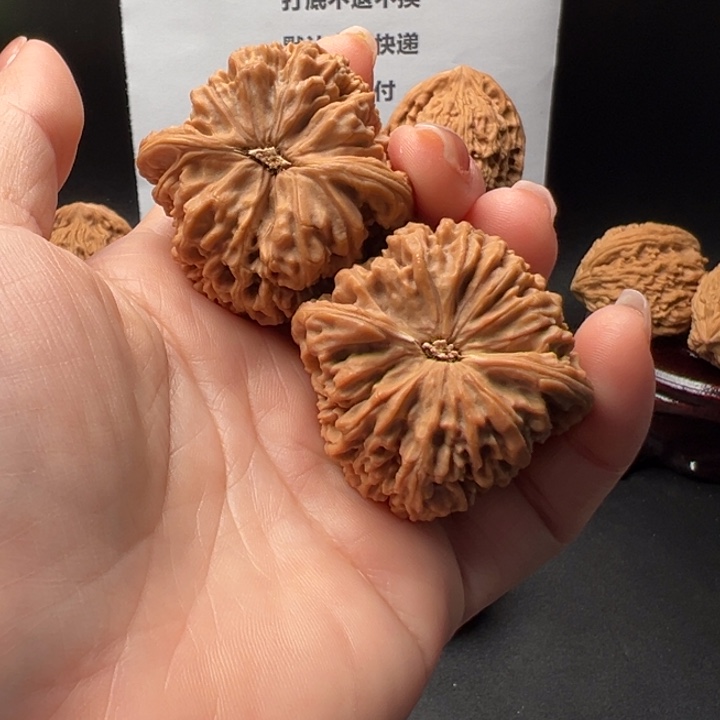 小***剧34号正高炮老树南将石