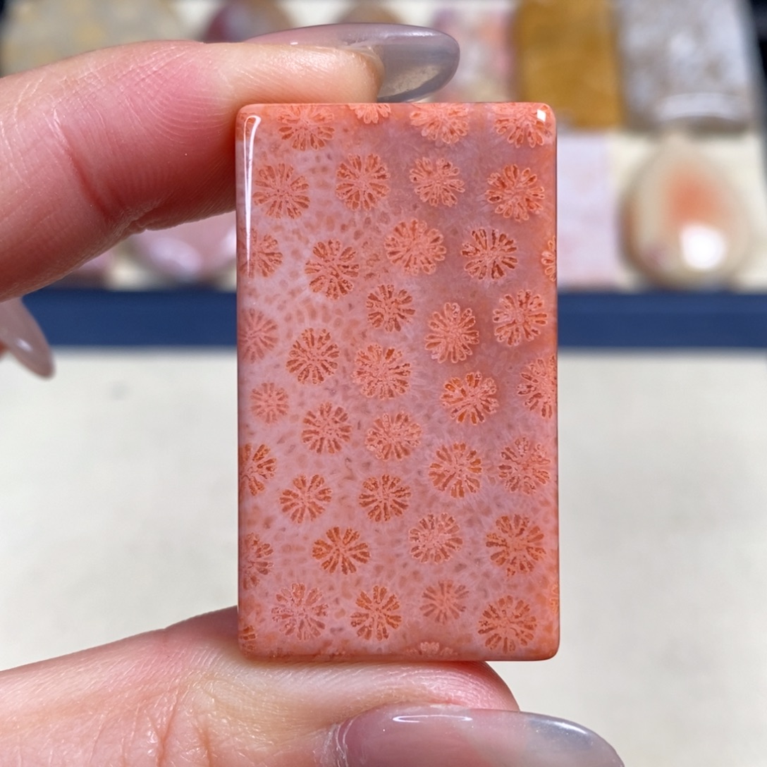 硅化玉未镶嵌吊坠