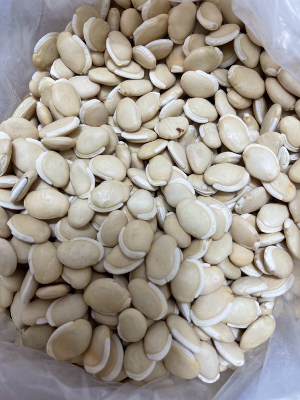 药材哥自卖精品白扁豆