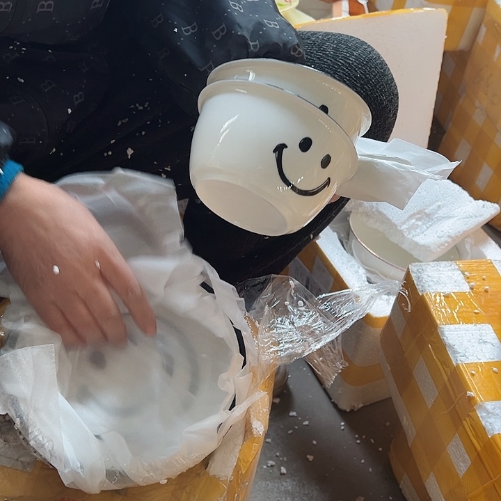 陶瓷工艺餐具8只装