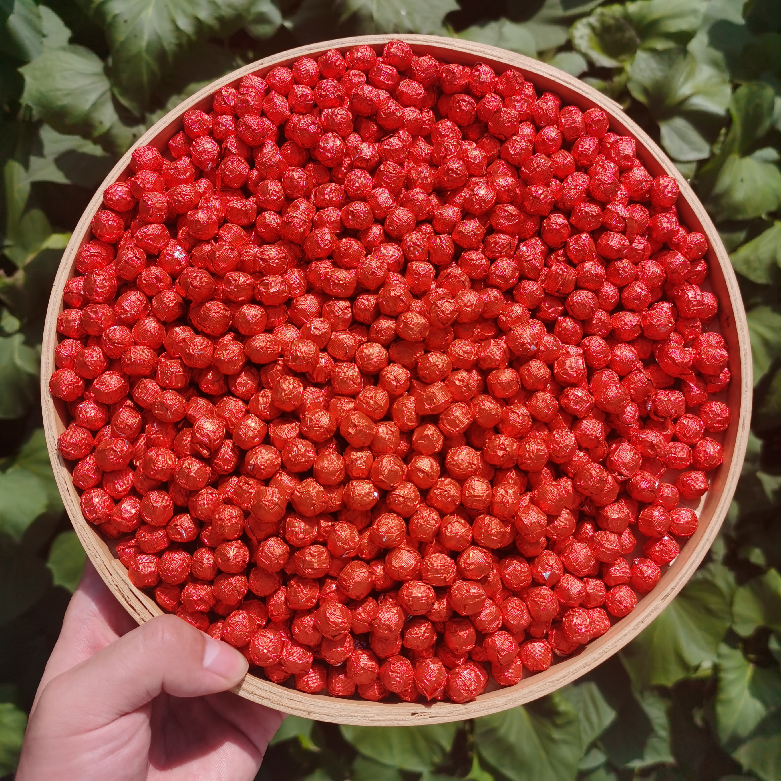 圣女果普洱茶膏       