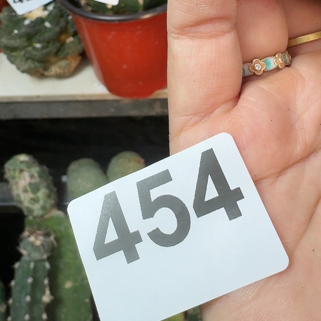 全部花朵精品大尤454