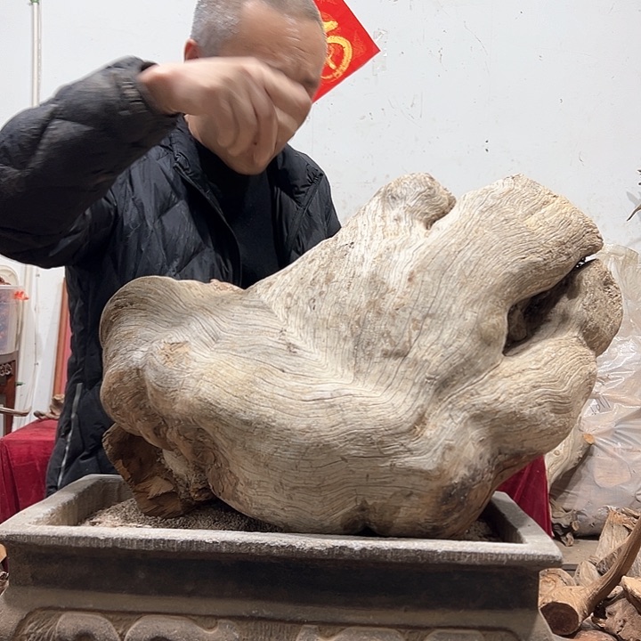 柏木北**安我们都是好孩子呀我也