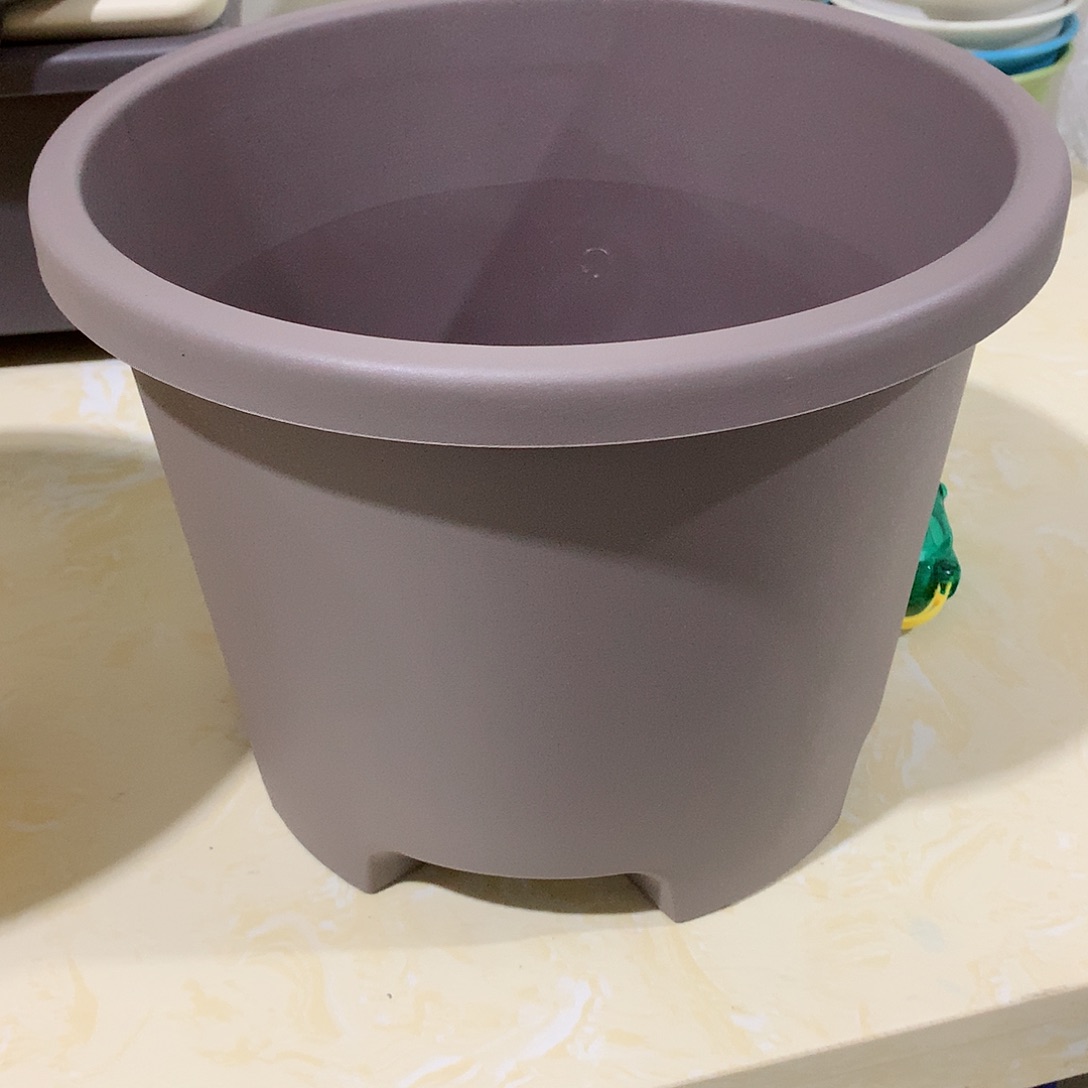 树脂球根口32咖色3个无托w 