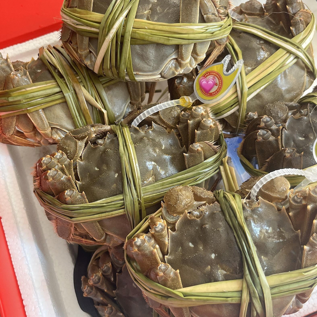 鲜活江苏大闸蟹 1.8-2.0两母蟹6只