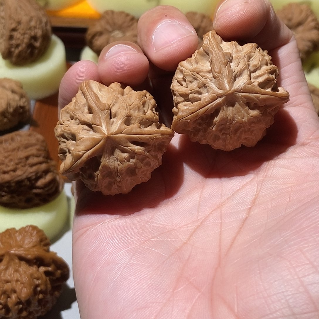 锦鸿奔，全品无修，