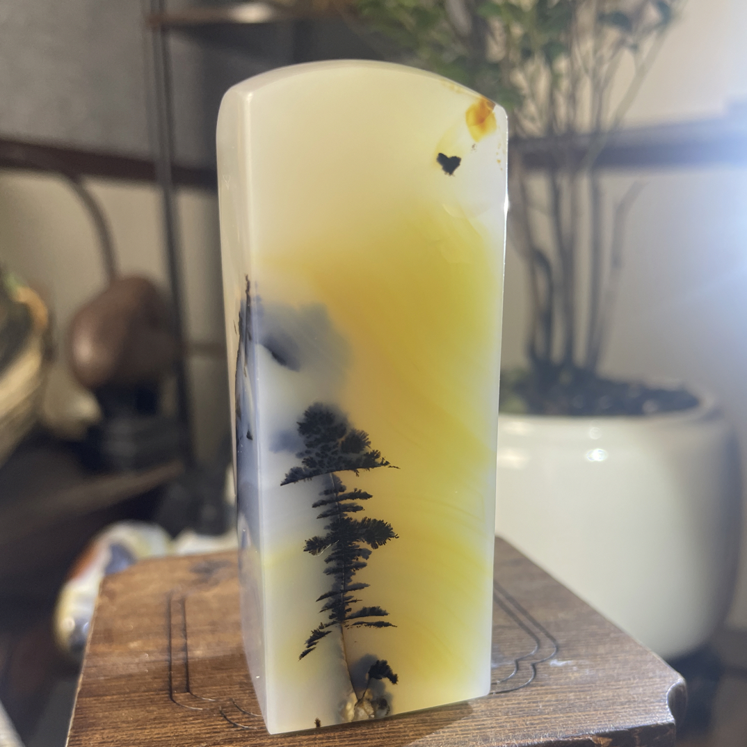 大印章南山松画面