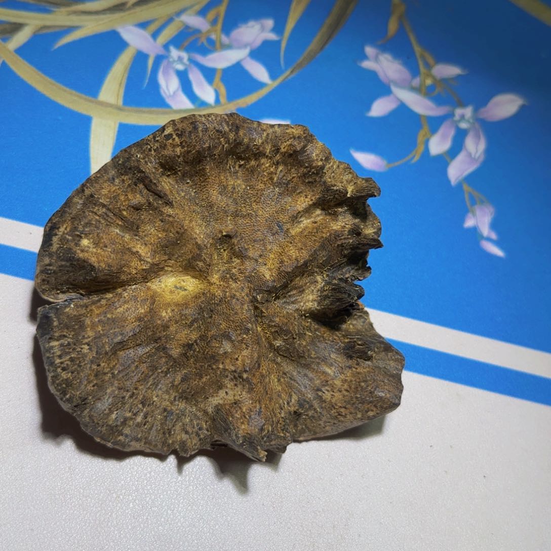 沉香手把件风**起沉香奇楠野生包头老料82克