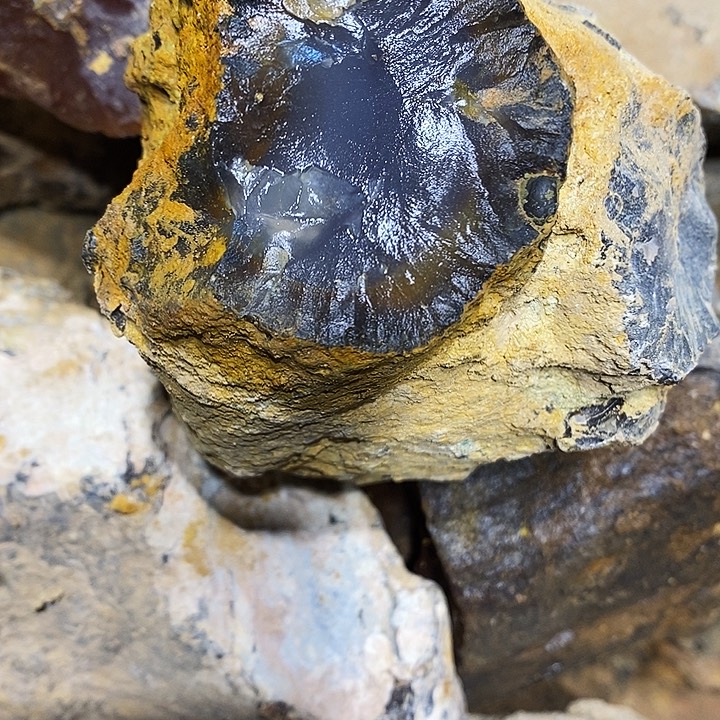 双***双定制玛瑙地哦哦哦我现在