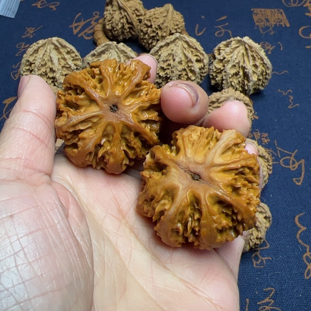 文玩核桃把件秦岭野生植物核桃