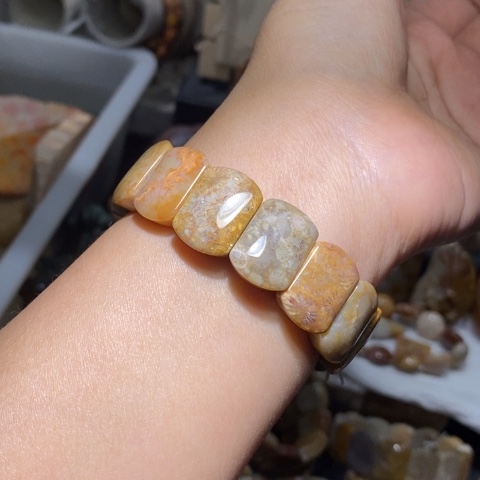 【闪购商品】硅化玉颈饰未镶嵌